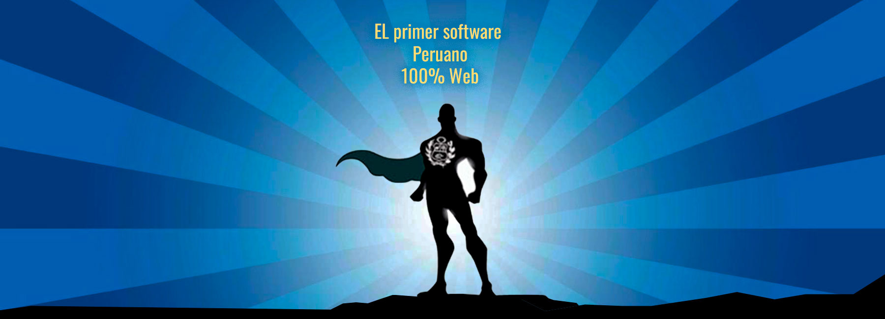 Skynet ERP - El primer software peruano 100% Web